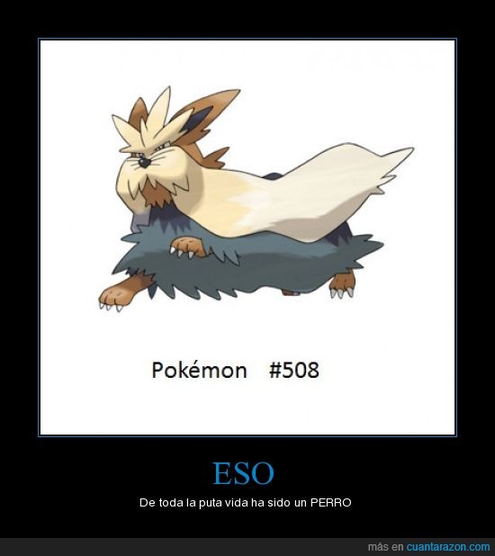 pokémon,vida,perro,eso